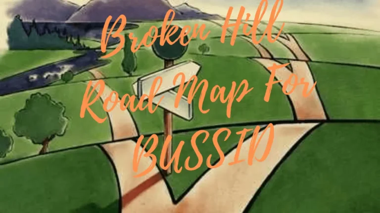 Broken Hill Road Map For BUSSID